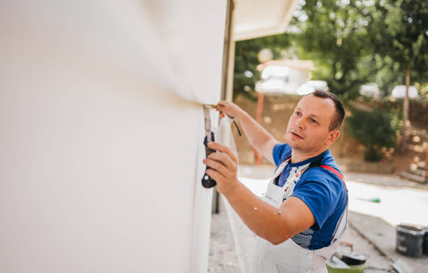 Best Crawl Space Insulation  in Steelevle, IL